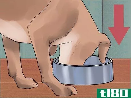 Image titled Get Rid of Dog Hiccups Step 2