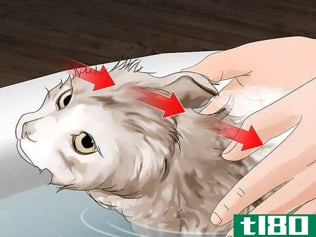 Image titled Get Rid of Fleas Step 2