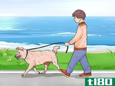 Image titled Involve Your Kids in Selecting a Dog Step 10