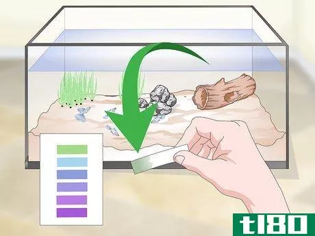 Image titled Keep Guppies Healthy Step 10
