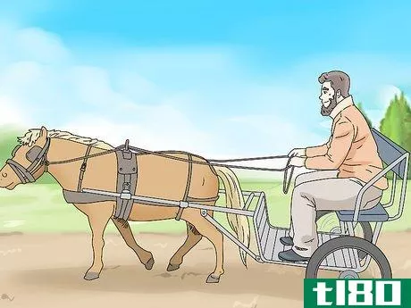 Image titled Keep a Miniature Horse Fit Step 15