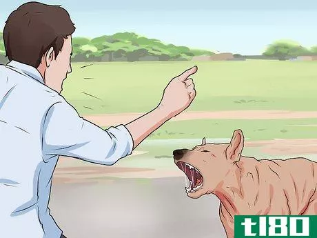 Image titled Handle a Dog Attack Step 5