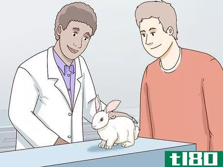 Image titled Keep Pet Rabbits Safe Step 13