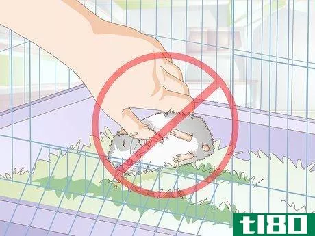 Image titled Get a Hamster to Sleep Step 6