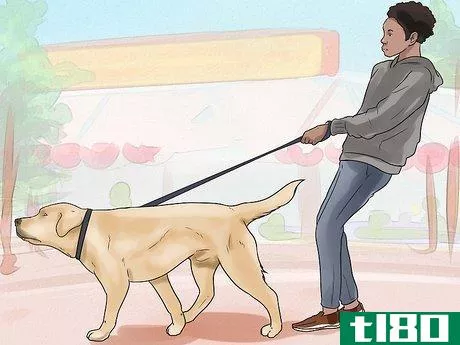 Image titled Hold a Dog's Leash Step 5
