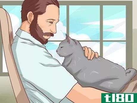 Image titled Get a Cat to Like You Step 7