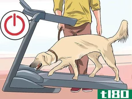 Image titled Get a Dog to Use a Treadmill Step 3