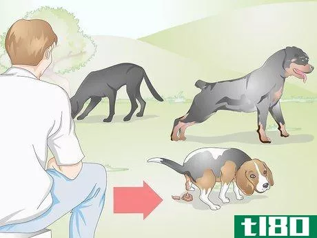 Image titled Get a Fecal Sample from Your Dog Step 4