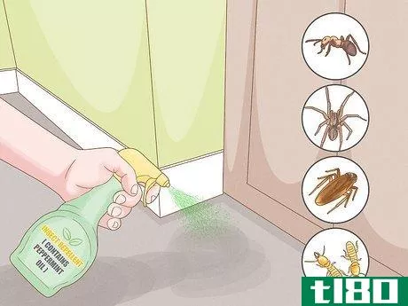 Image titled Get Rid of Household Pests Without Chemicals Step 13