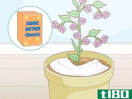 如何清除室内植物中的蚊虫(get rid of gnats in houseplants)