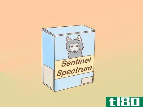 Image titled Get Rid of Tapeworms in Your Pets Step 10