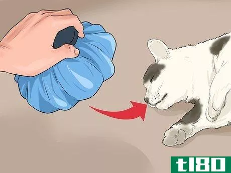 Image titled Give First Aid to an Electrocuted Animal Step 6