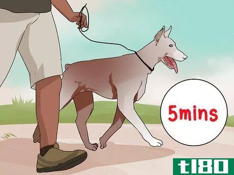Image titled Improve Your Dog's Show Ring Gait Step 14
