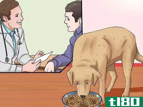 Image titled Help Your Dog Lose Weight Step 5