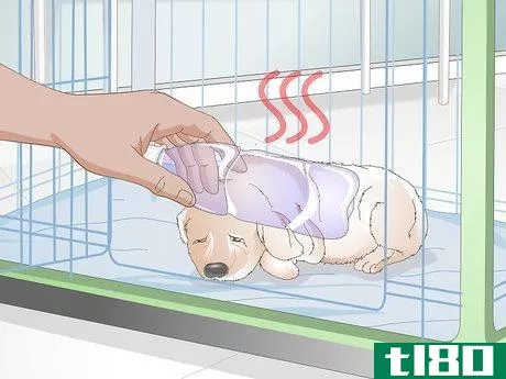 Image titled Get Your Puppy To Sleep in Its Own Bed Step 12