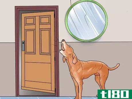 Image titled Keep Your Pet from Being Locked Out Step 6