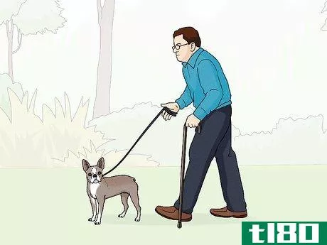 Image titled Identify a Boston Terrier Step 11