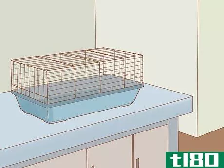 Image titled Introduce a New Hamster to Your Home Step 2