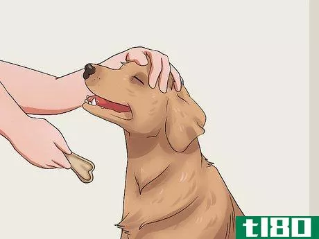 Image titled Get Your Dog to Swallow a Pill Step 17
