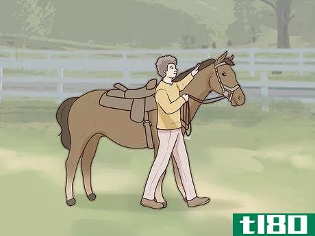 Image titled Get Your Horse to Stand Still for Mounting Step 1