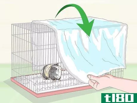 Image titled Keep Your Guinea Pig Cool in Hot Weather Step 13