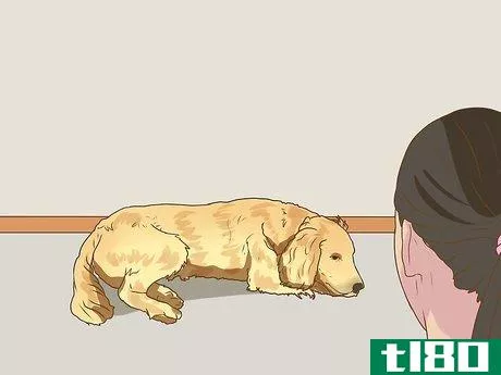 Image titled Help a Pet Grieve Step 5