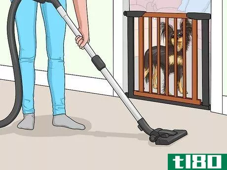 Image titled Keep a Dog from Chasing the Vacuum Cleaner Step 3