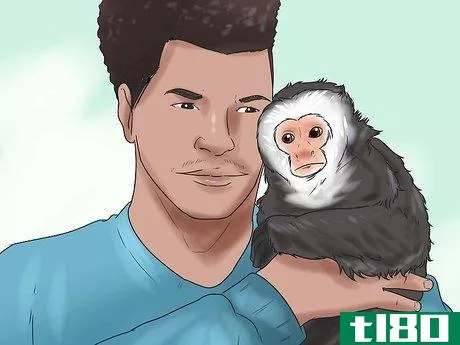 Image titled Keep Capuchin Monkeys As Pets Step 6
