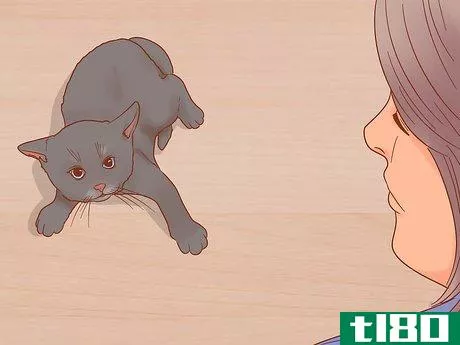 Image titled Know if Your Cat Is Afraid of Something Step 4