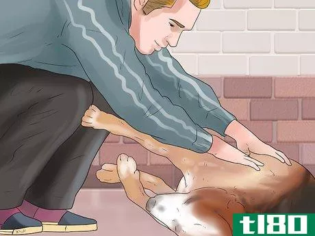 Image titled Help a Dog Who Has Canine Epilepsy Step 1