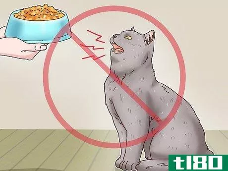 Image titled Identify a British Shorthair Cat Step 10