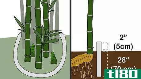 Image titled Kill Bamboo Step 10