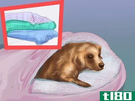 Image titled Help a Dog with Sleep Incontinence Step 6
