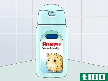 Image titled Keep Your Guinea Pigs Smelling Good Step 7