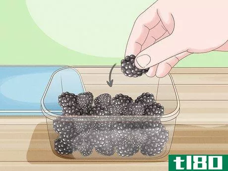 Image titled Harvest Blackberries Step 9