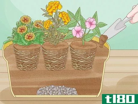 Image titled Grow a Container Garden Step 14