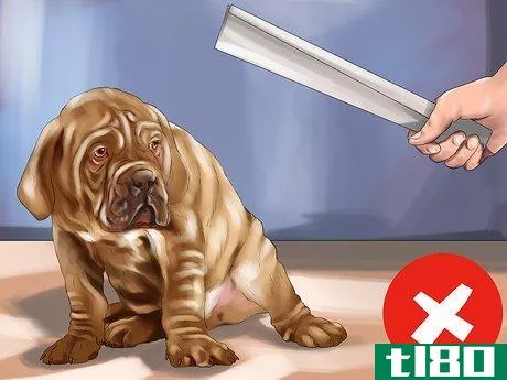 Image titled Housebreak a Dog with Positive Reinforcement Step 14