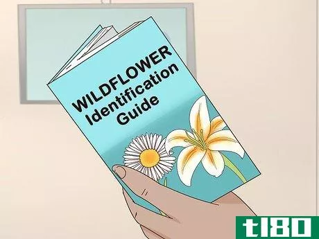 Image titled Identify Wildflowers Step 5