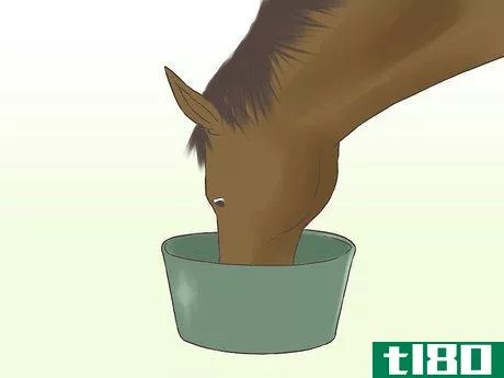 Image titled Get a Horse Fit Step 15