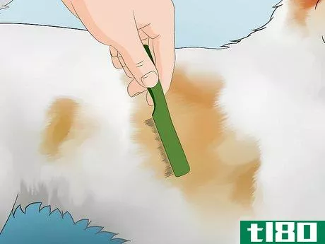 Image titled Get Rid of Fleas in the House Fast Step 8