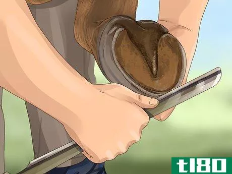 Image titled Know if Your Horse Needs Shoes Step 5