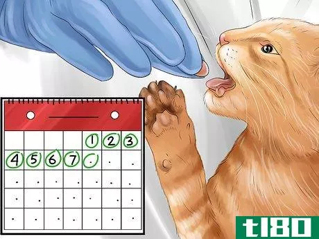 Image titled Give Amlodipine Besylate to Cats with High Blood Pressure Step 5