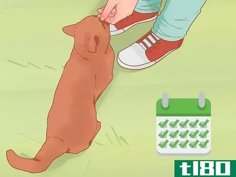 Image titled Keep Your Pets Happy Step 1