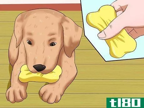 Image titled Get Your Puppy to Stop Biting Step 19