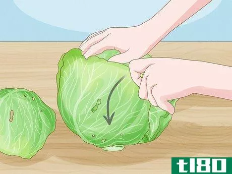 Image titled Harvest Cabbage Step 8