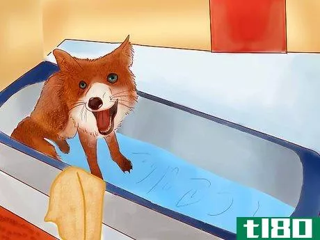 Image titled Groom a Pet Fox Step 3