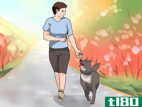 Image titled Improve Your Dog's Show Ring Gait Step 10