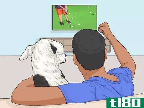 Image titled Hang Out with Your Dog Step 8