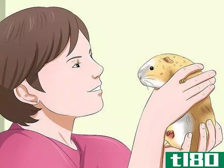 Image titled Get Your Guinea Pig to Trust You Step 12