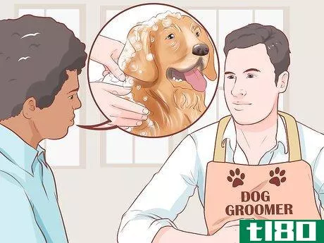 如何在家里进行专业的狗美容(groom your dog at home between professional groomings)
